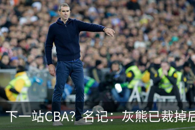 下一站CBA？名记：灰熊已裁掉后卫德安吉洛·拉塞尔