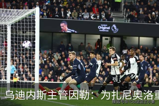 乌迪内斯主管因勒：为扎尼奥洛重返国家队感到高兴