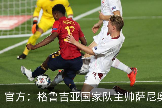 官方：格鲁吉亚国家队主帅萨尼奥尔下课，斯瓦纳泽成为主教练
