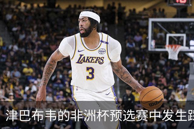 津巴布韦的非洲杯预选赛中发生踩踏事故，一名球迷不幸丧生